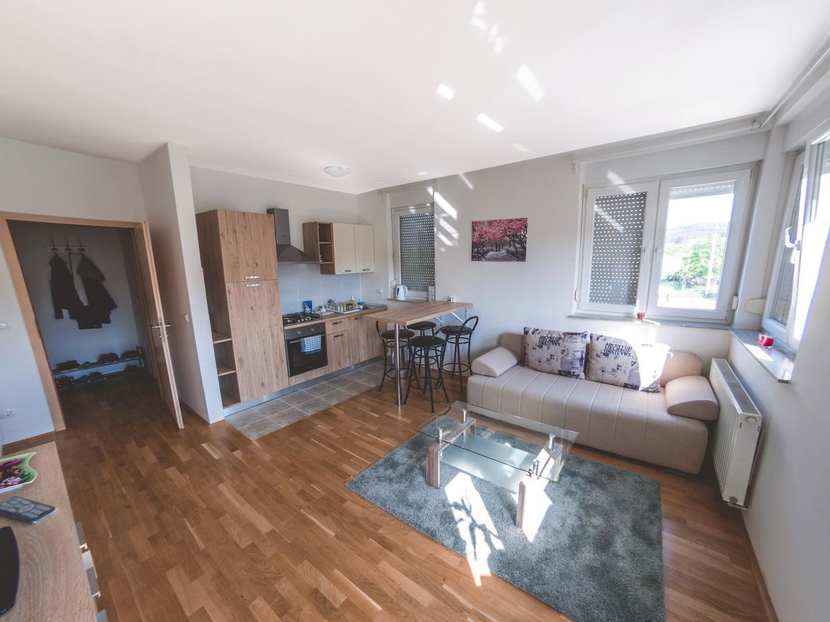 Apartment Daphnia Záhřeb Exteriér fotografie